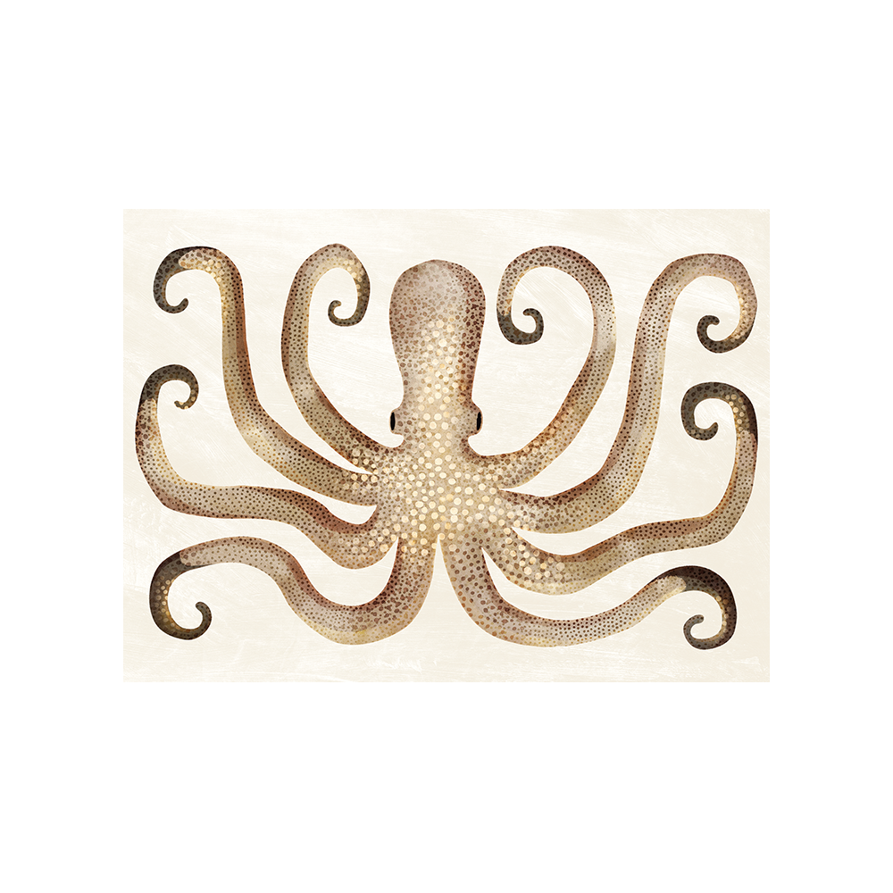 Pelosa vinyl bordbrikke