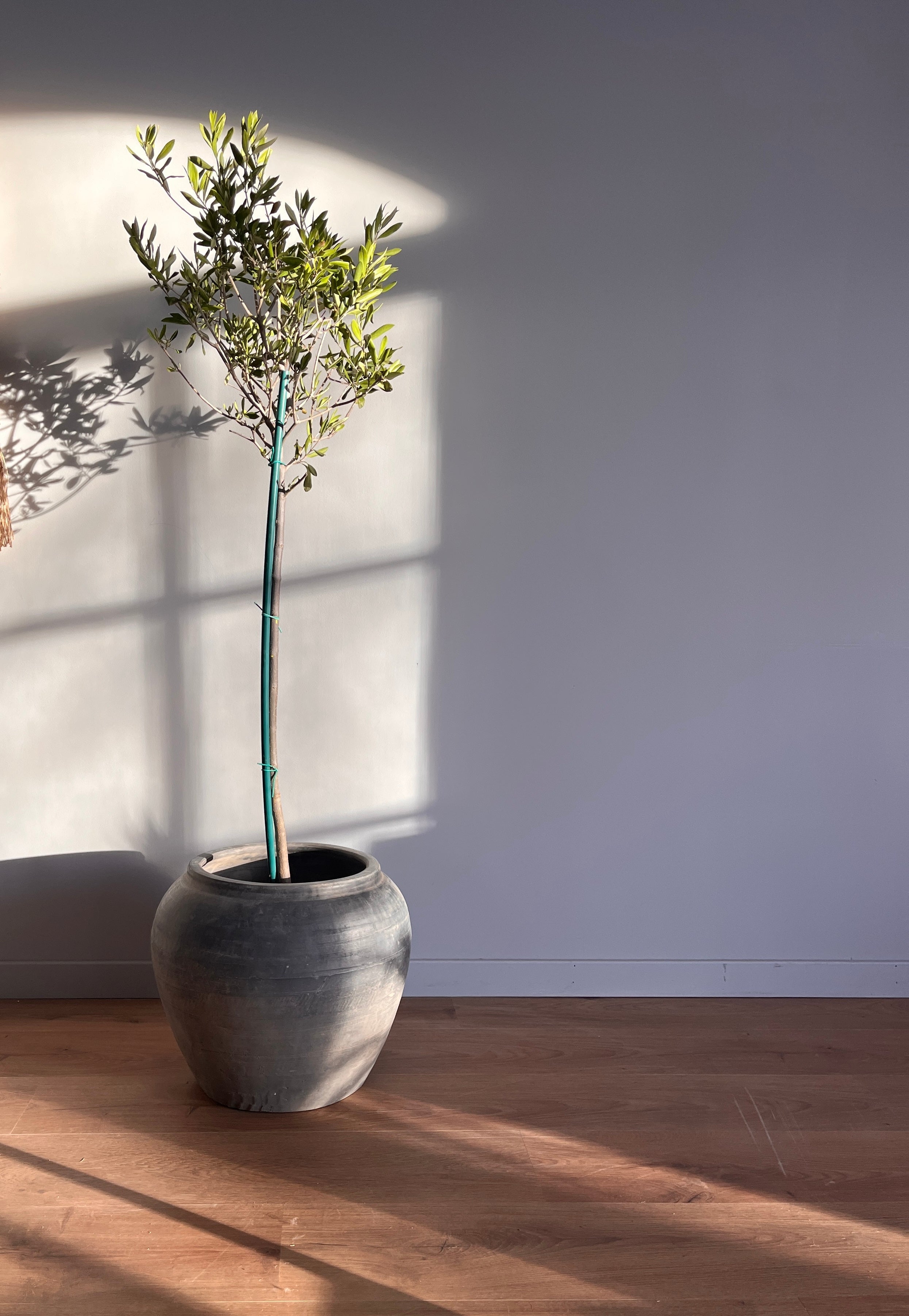 Nian mørk grå krukke