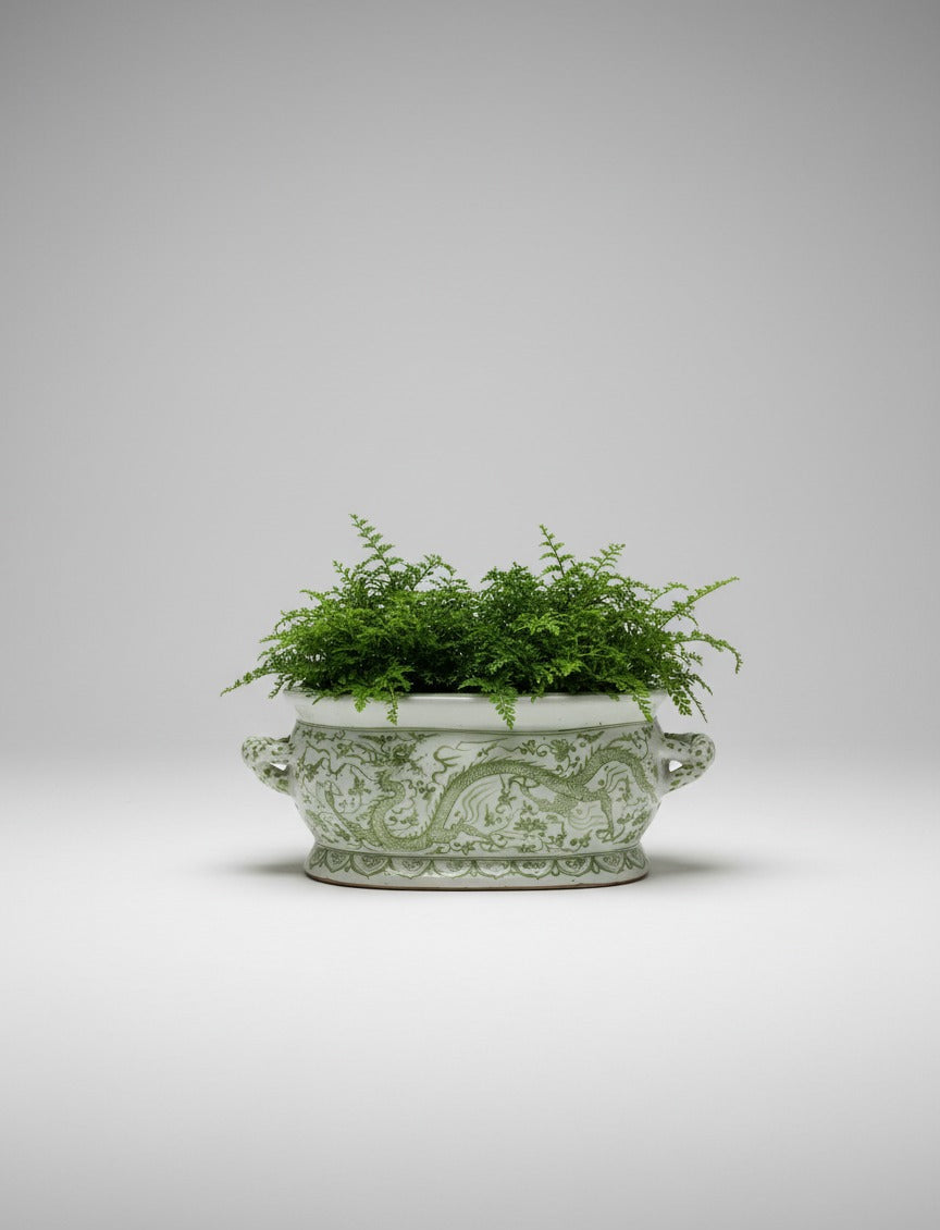 Hvit og grønn drage jardinière blomsterpotte