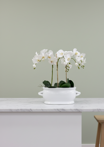 Hvit jardinière blomsterpotte