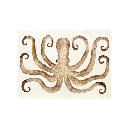 Pelosa vinyl bordbrikke