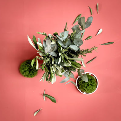 Rød stripete tallerken