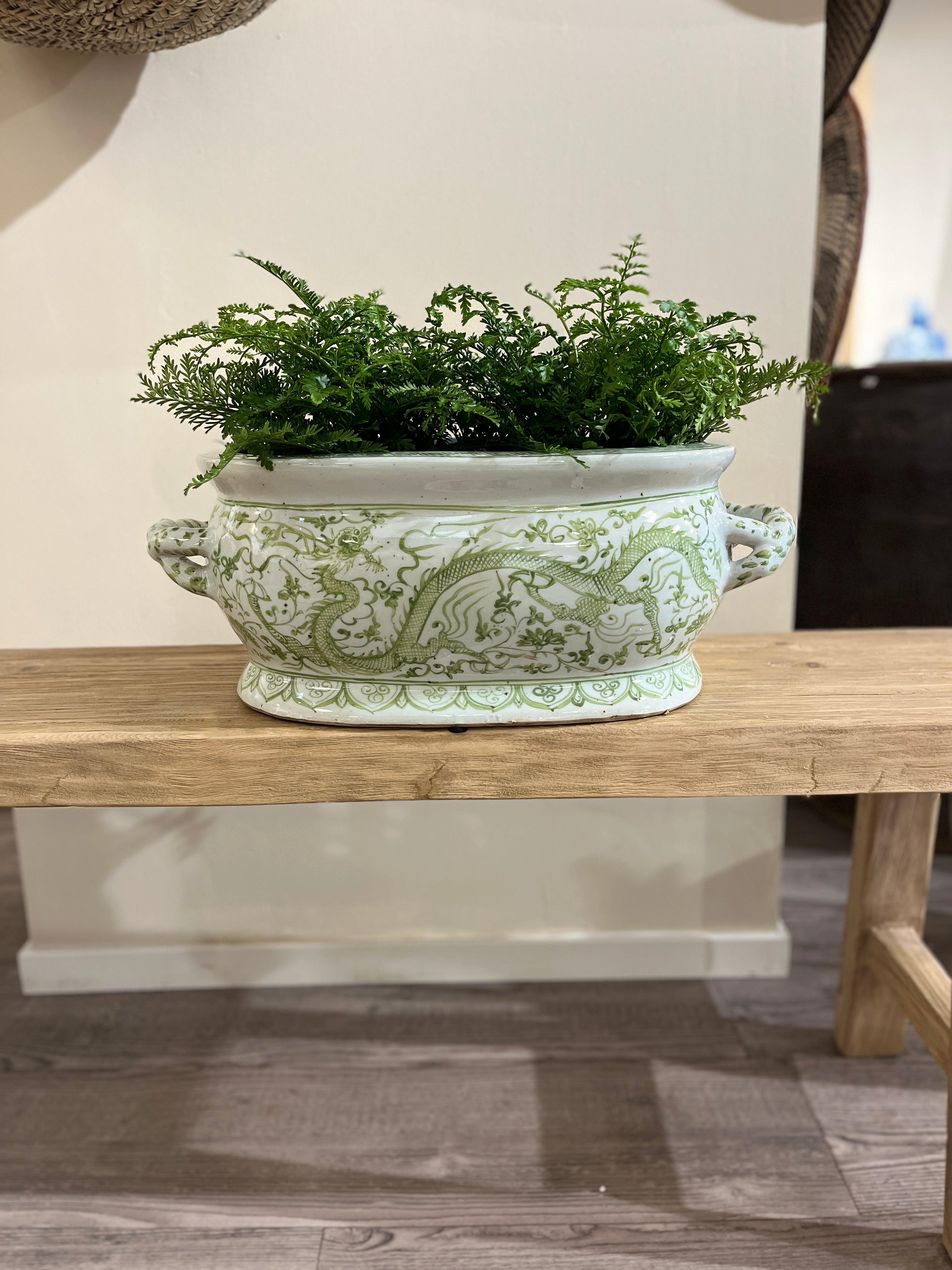 Hvit og grønn drage jardinière blomsterpotte