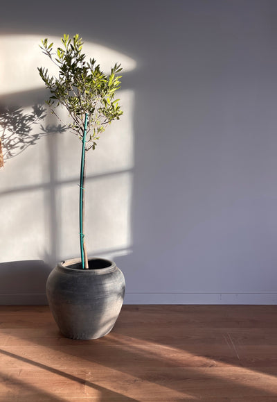 Nian mørk grå  krukke