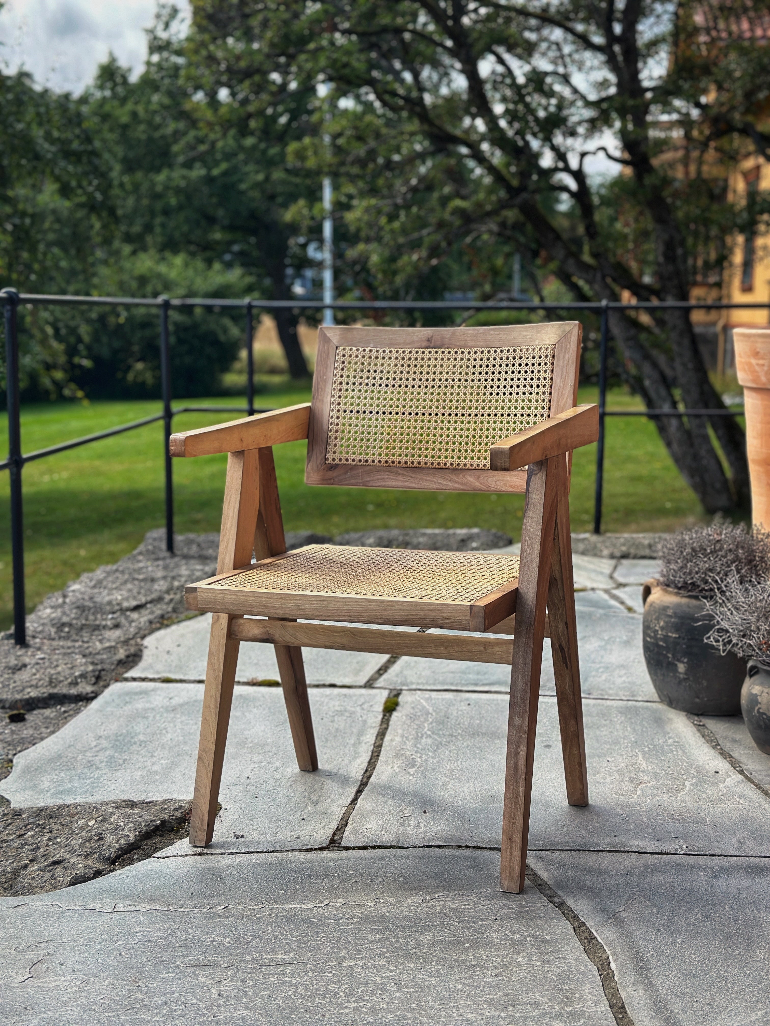 'Cane Back Armchair' - rottingstol