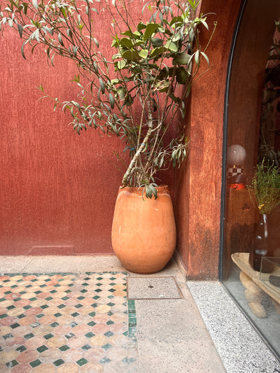 Terrakotta krukke