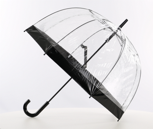Transparent Dome Paraply med sort