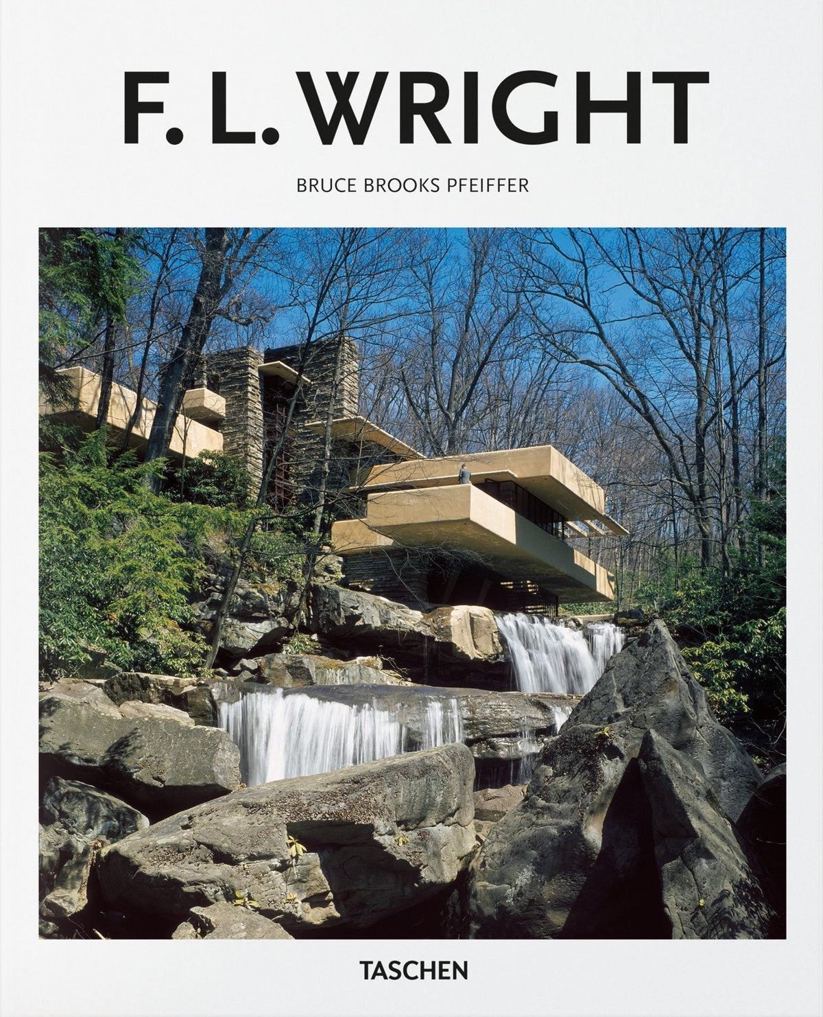 Bok - F.L. Wright Basic Art Series