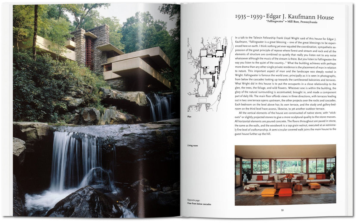 Bok - F.L. Wright Basic Art Series