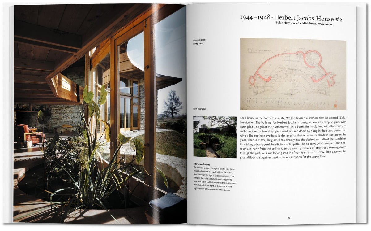 Bok - F.L. Wright Basic Art Series
