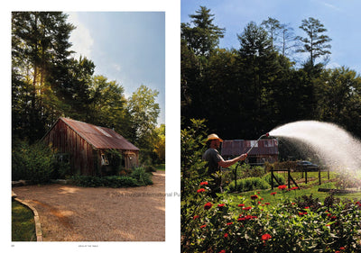 Krug Champagne at the Table