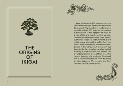 The Little Book of Ikigai