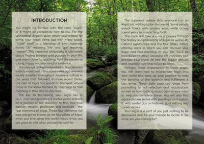 The Little Book of Ikigai