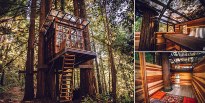 Treetop Hideaways