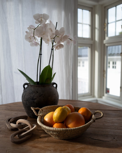 Grå Nian krukke med ører