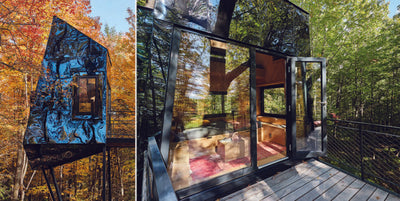 Treetop Hideaways