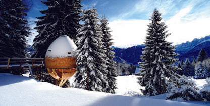 Treetop Hideaways